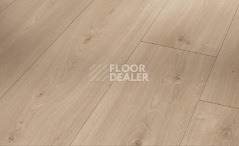 Ламинат Parador Basic Plus 600 XS 1593829 Дуб Авант Шлифованный фото 1 | FLOORDEALER